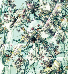 Similar image 11894080