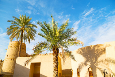 Similar image 11910758