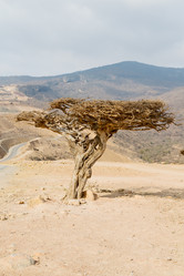 Similar image 11910739