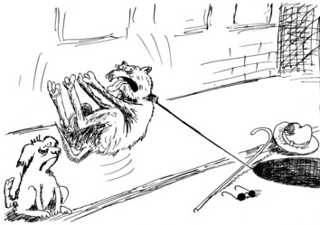 Similar image 11910917