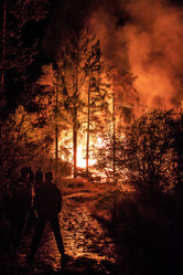 Similar image 11896295