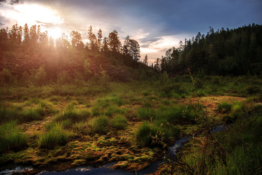 Similar image 11896297