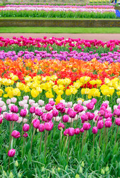 Similar image 11900336