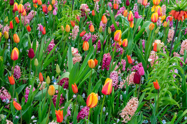 Similar image 11894720