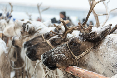 Similar image 11896288