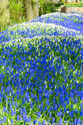 Similar image 11894794