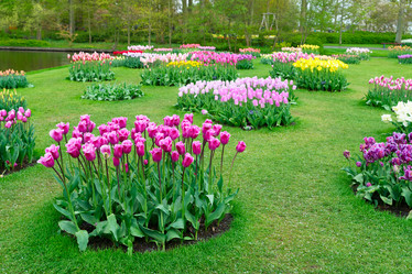 Similar image 11898878