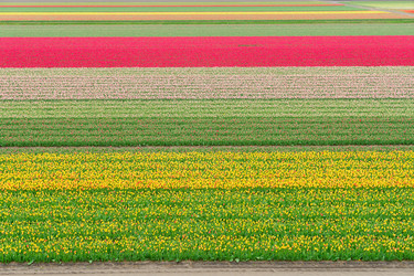 Similar image 11898879