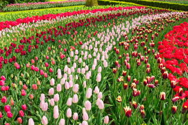 Similar image 11899486