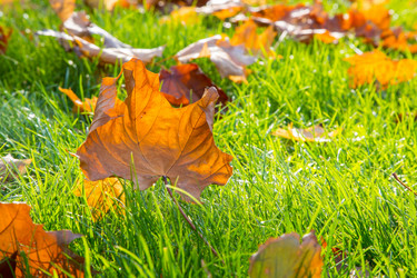 Similar image 11921711