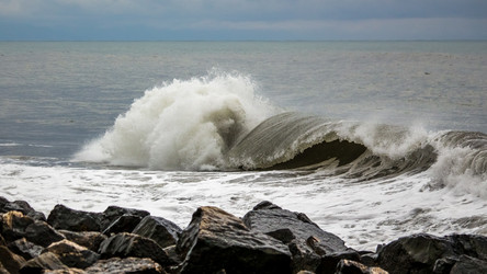 Similar image 11896752