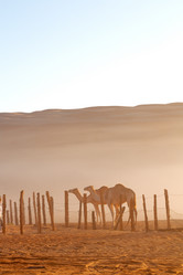 Similar image 11915217