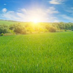 Similar image 11911321