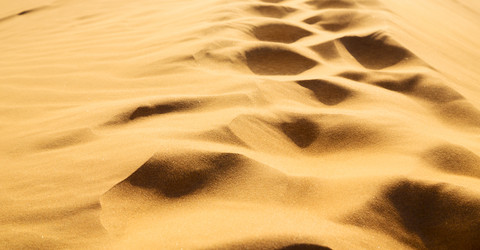 Similar image 11914259