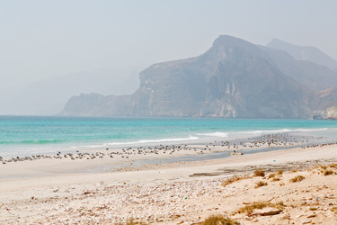 Similar image 11914261