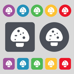 Similar image 11914483