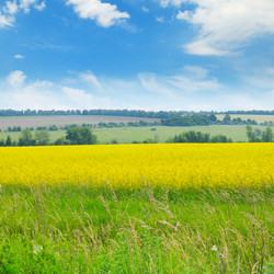 Similar image 11924614