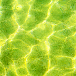 Similar image 11914251