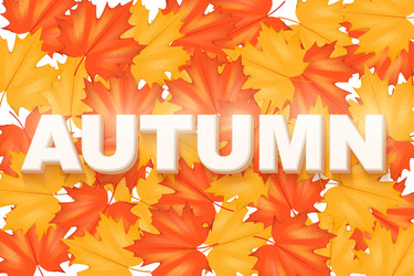 Similar image 11918507