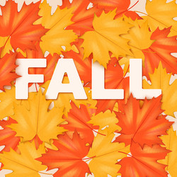 Similar image 11918508