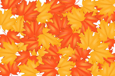 Similar image 11918510