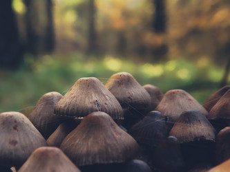 Similar image 11914097