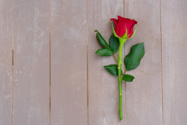 Similar image 11899894