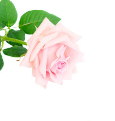 Similar image 11899975