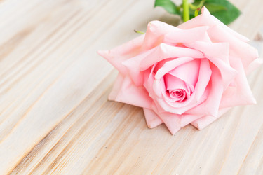 Similar image 11900056