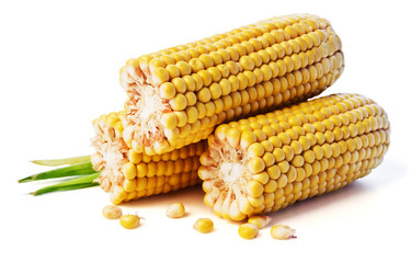 Similar image 11914119