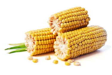 Similar image 11914120