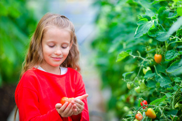 Similar image 11889595