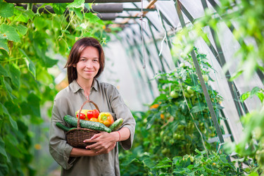 Similar image 11904502