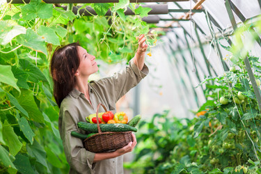 Similar image 11904522