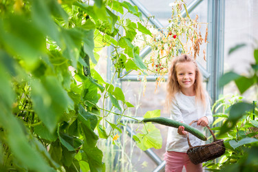 Similar image 11889612