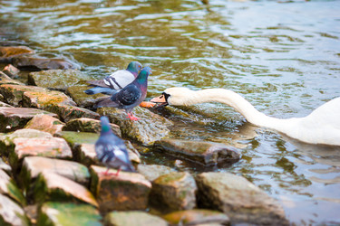 Similar image 11888961