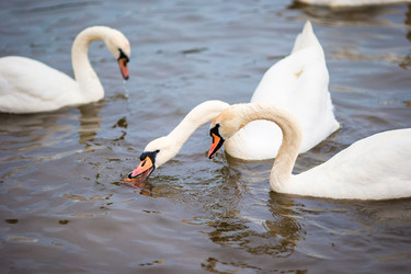 Similar image 11888962