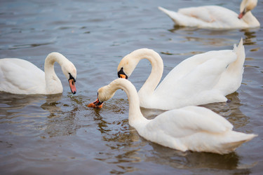 Similar image 11889186