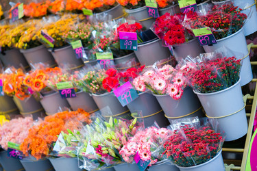 Similar image 11889087