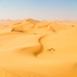 Similar image 11916678