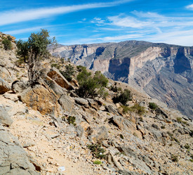 Similar image 11916686