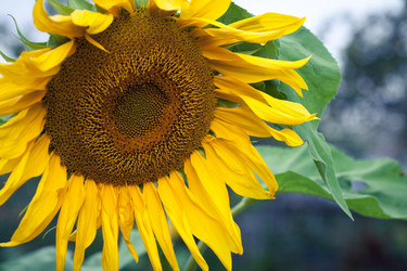 Similar image 11917152