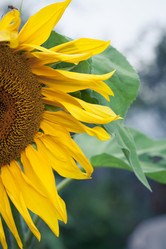 Similar image 11916989