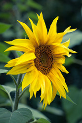 Similar image 11916993