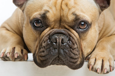 Similar image 11912945