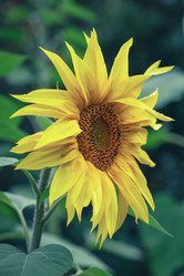 Similar image 11916994