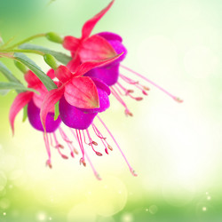 Similar image 11894779