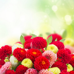 Similar image 11894796