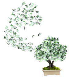 Similar image 11918772