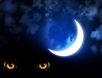 Similar image 11918782